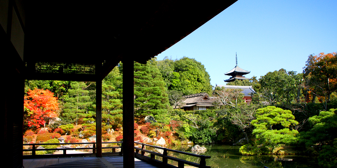 【京都】仁和寺 非公開エリア宿泊プラン