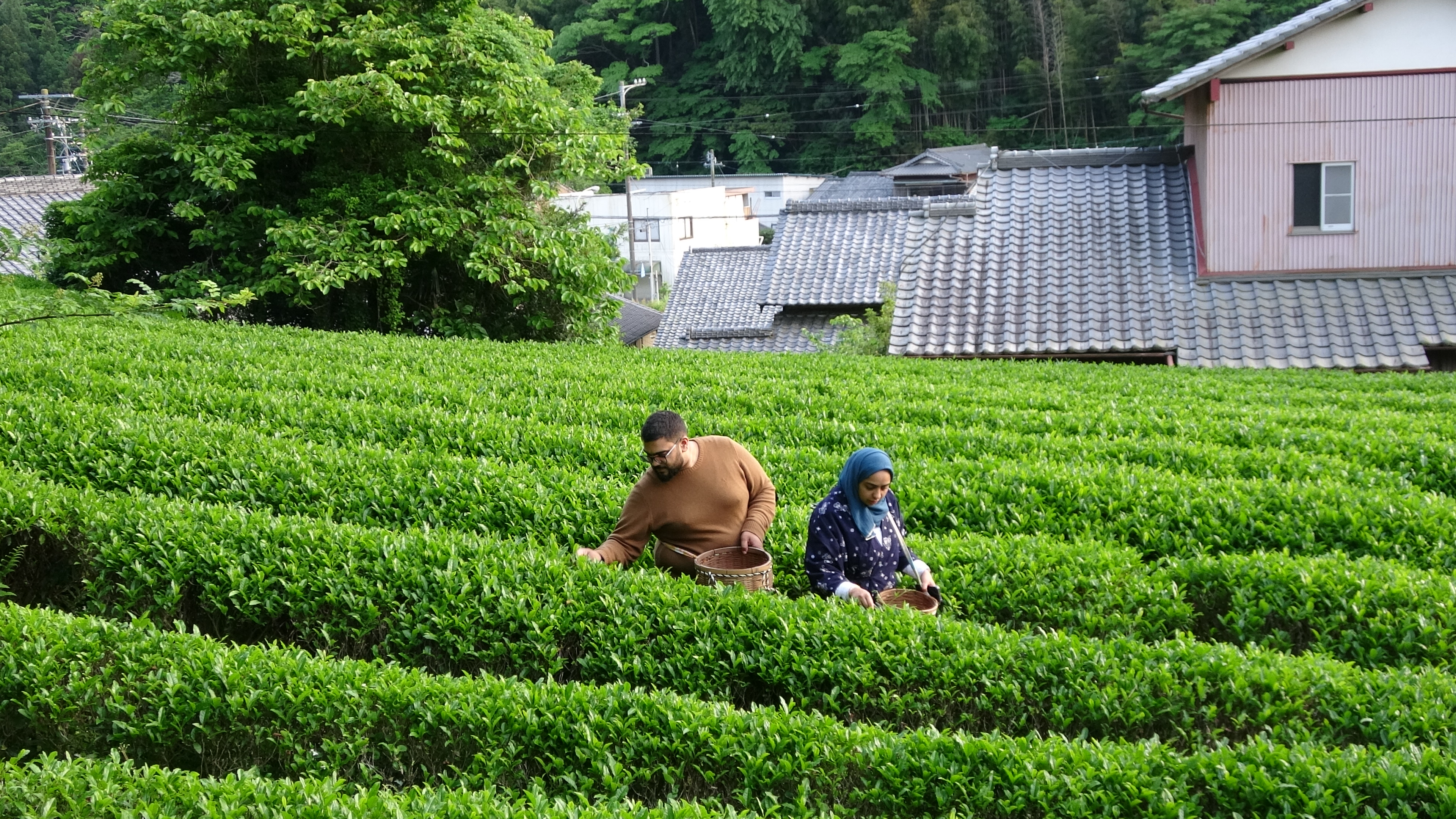 ムスリム向けCulinary Tour「和食旅」